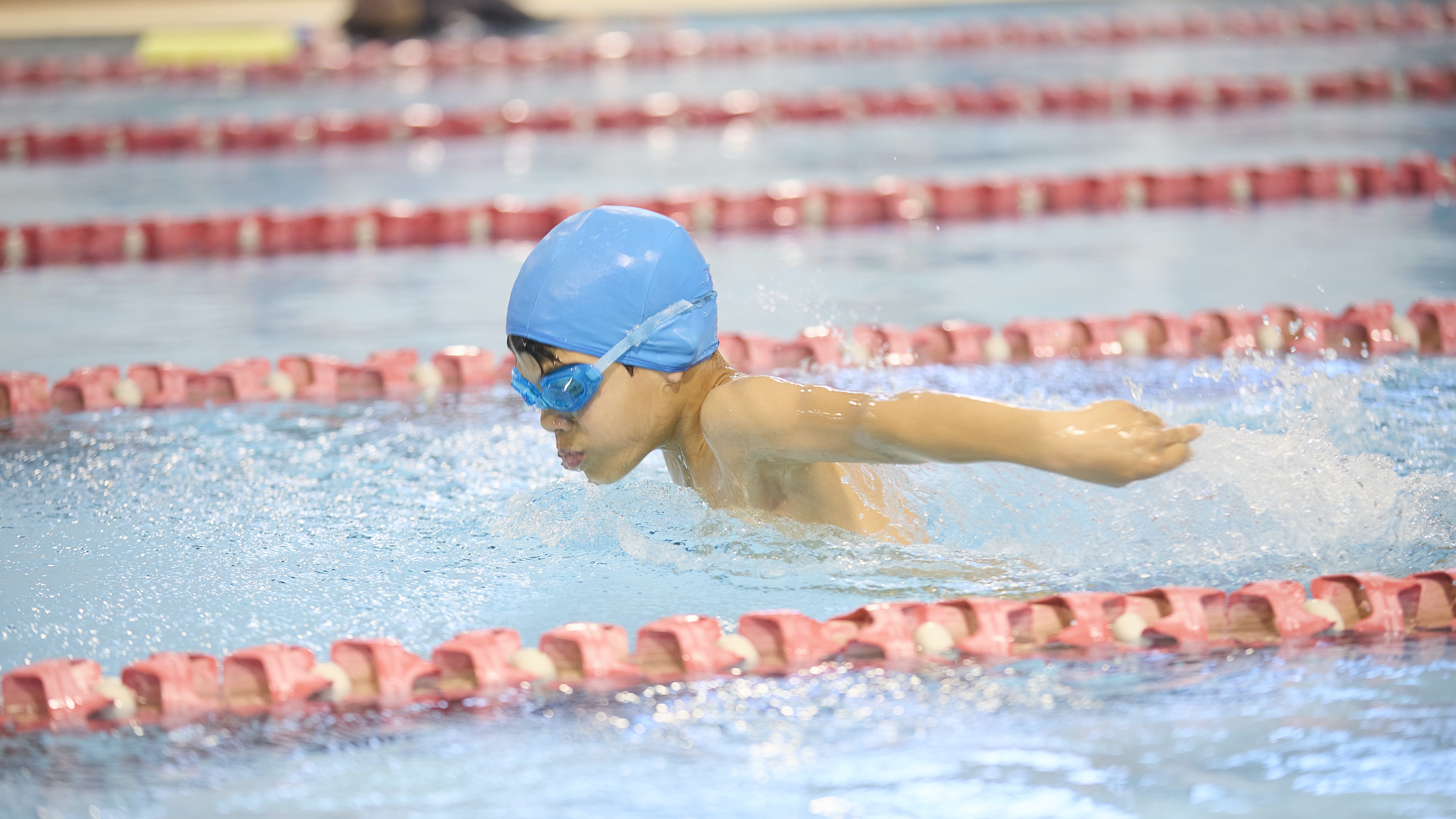 3a3e2024-83d8-46bb-e7e6-2146c6d7c1f4