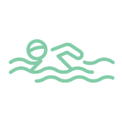 Swim Website Animals - Outline_Swimmers Swim Website Animals - Outline_Swimmers